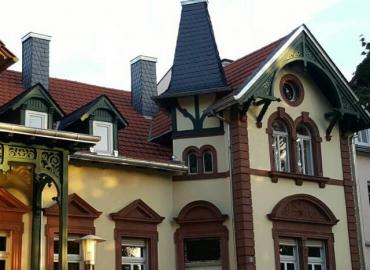 Kamine Naturschiefereindeckung